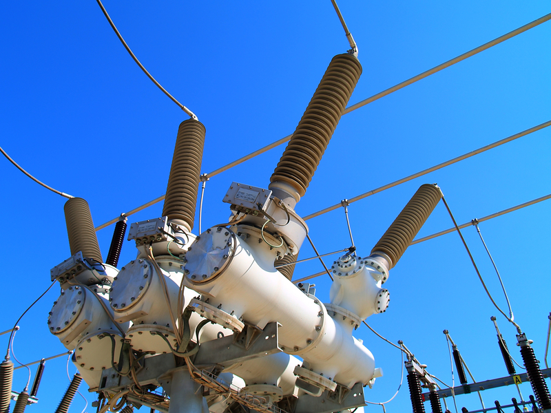 The World is No Longer Safe, Woman Says As She Attacked Electric Substation, Hung From Wires