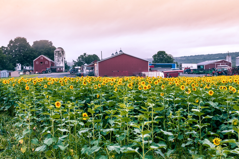 New Jersey lawmakers propose ban on foreign ownership of farmland