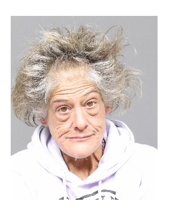 Woman Arrested in Utica for Prostitution-Related Offenses Involving Police Struggle