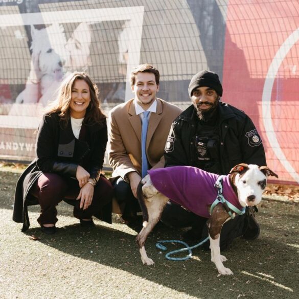 Coatesville man sentenced to prison after pleading guilty to animal abuse - photo licensed by shore news network.