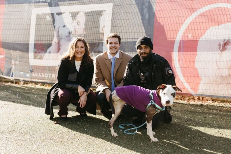 Coatesville man sentenced to prison after pleading guilty to animal abuse - photo licensed by shore news network.