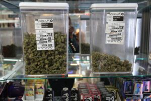 Queens District Attorney Shuts Down Unlicensed Cannabis Shop Near Playground in Sunnyside