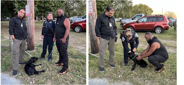 Stolen puppy case solved after police arrest Southeast D.C. suspect