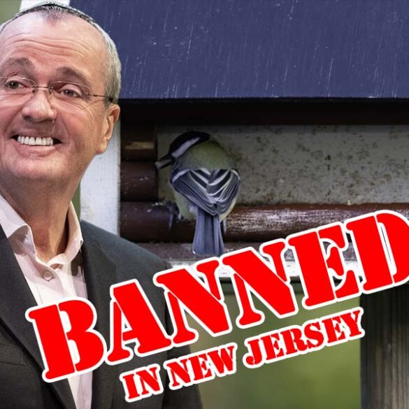 New jersey's bird feeder ban met with stiff public opposition, advances in bird brained committee - photo licensed by shore news network.