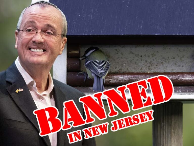 New jersey's bird feeder ban met with stiff public opposition, advances in bird brained committee - photo licensed by shore news network.