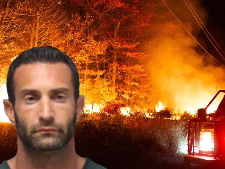 Brick man charged with arson after setting 350-acre wildfire with illegal dragon's breath shotgun shell - photo licensed by shore news network.