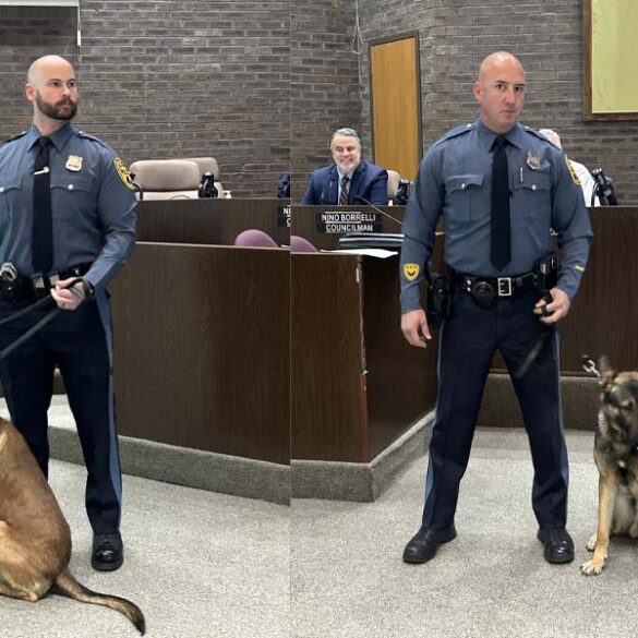 Jackson police department announces return of k-9 program, welcomes new special officers - photo licensed by shore news network.