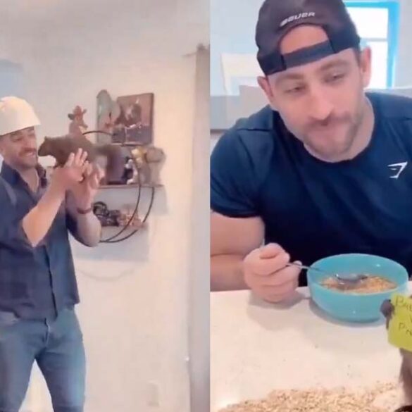 New york state dec seizes and euthanizes social media star pet squirrel 'peanut,' sparking outrage - photo licensed by shore news network.