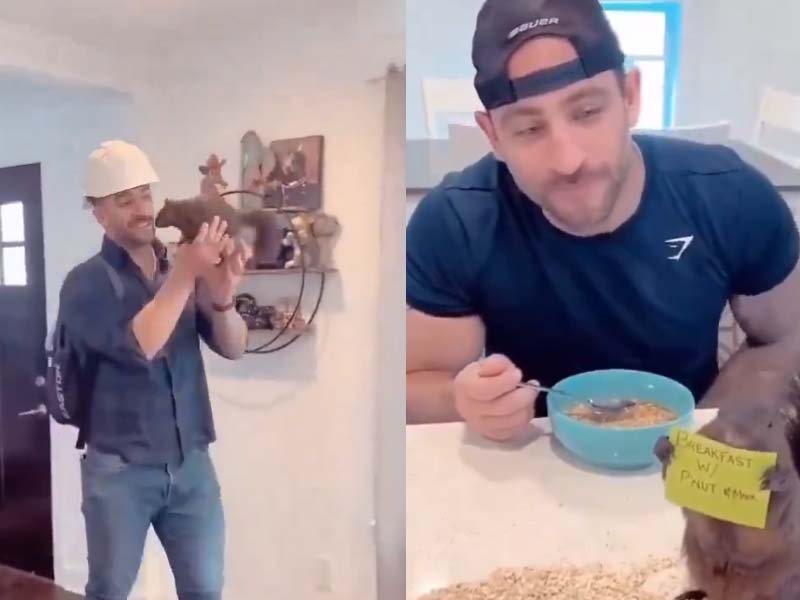New York State DEC seizes and euthanizes social media star pet squirrel 'Peanut,' sparking outrage