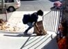 Newark police seeking to identify porch pirate