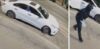 Crime spree hits dc as suspects target multiple businesses in early-morning break-ins