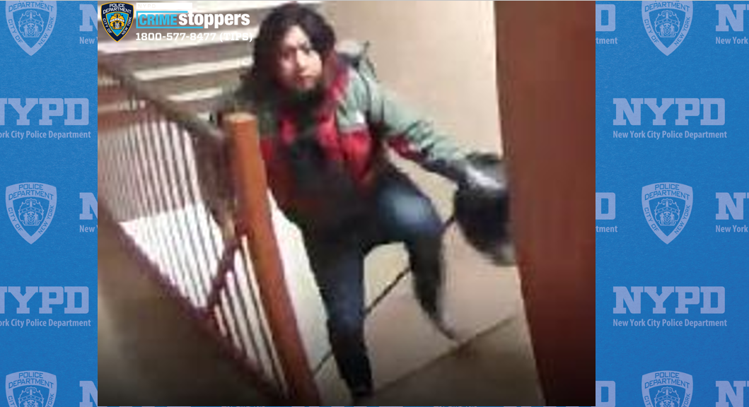 Man Followed Young Girl Home in Queens Before Accosting Her
