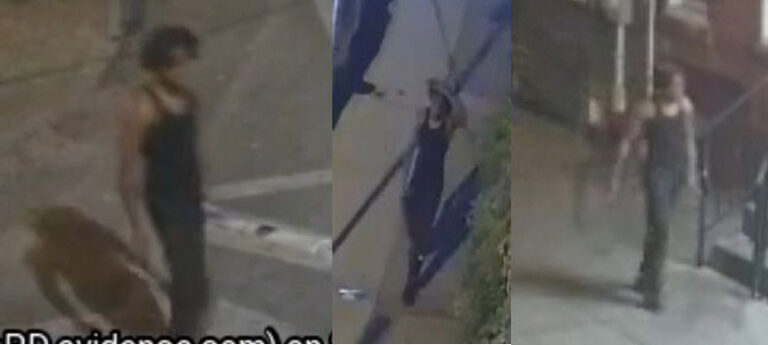 Philadelphia police seek suspect in fatal hit-and-run involving stolen vehicle - photo licensed by shore news network.