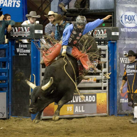 Stampede rodeo brings bull riding, barrel racing, and beach thrills to wildwood beach - photo licensed by shore news network.