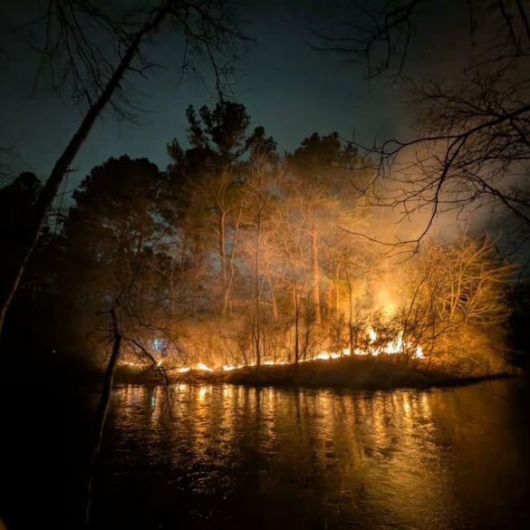 Brush fire in kings grant contained by fire crews - photo licensed by shore news network.