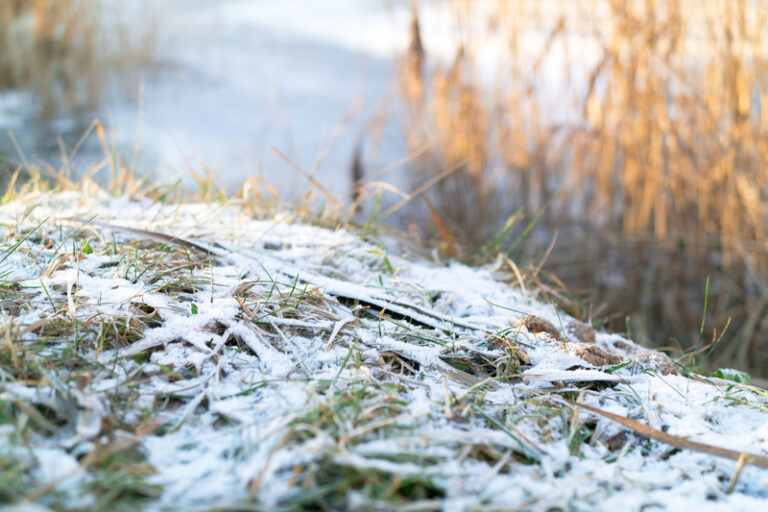 Snow flurries across new jersey possible tonight into tomorrow morning - photo licensed by shore news network.