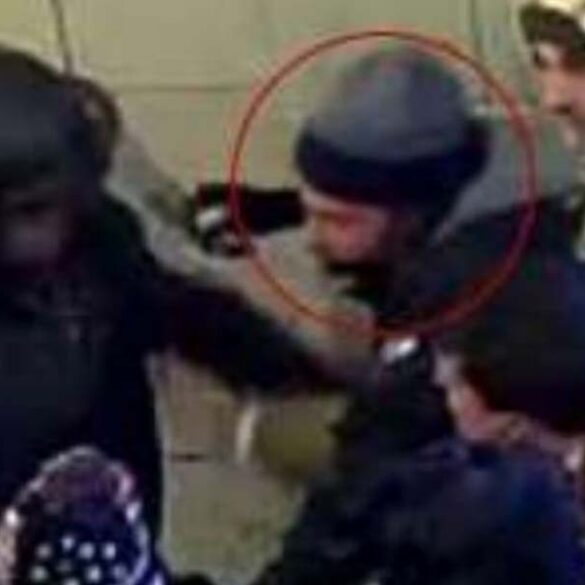 Former new york congressional candidate tells judge he will be pardoned by trump during hearing - photo licensed by shore news network.