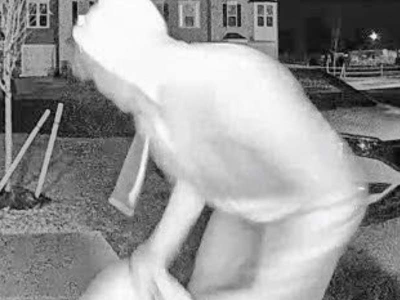 New Jersey Porch Pirates Twerked and Taunted Victim's Ring Doorbell Camera Before Fleeing