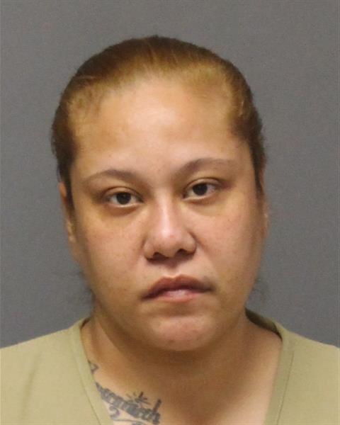 Ocean County woman arrested on burglary and theft charges