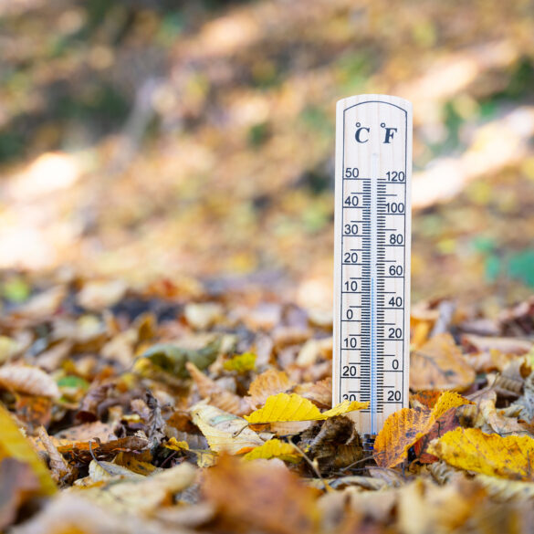 Rain to make way for warm days, cold end of week: new jersey five day weather outlook - photo licensed by shore news network.