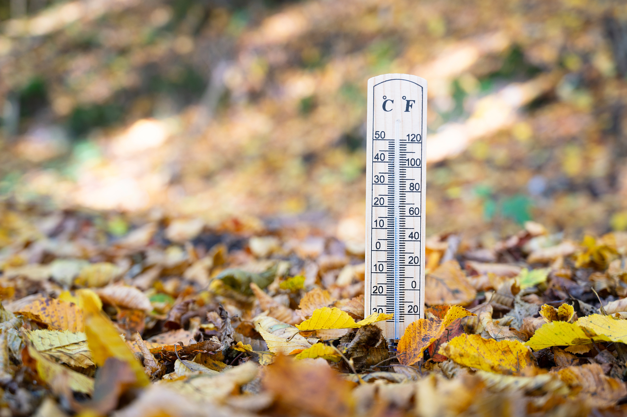 Rain to Make Way for Warm Days, Cold End of Week: New Jersey Five Day Weather Outlook