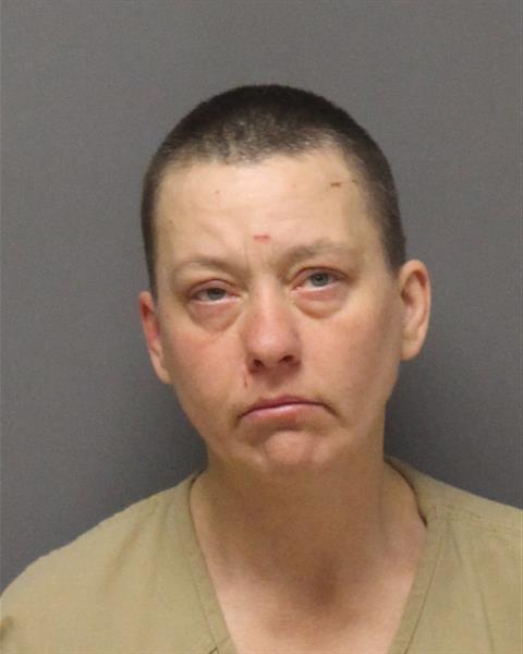 Woman charged with assaulting cops in Ocean County
