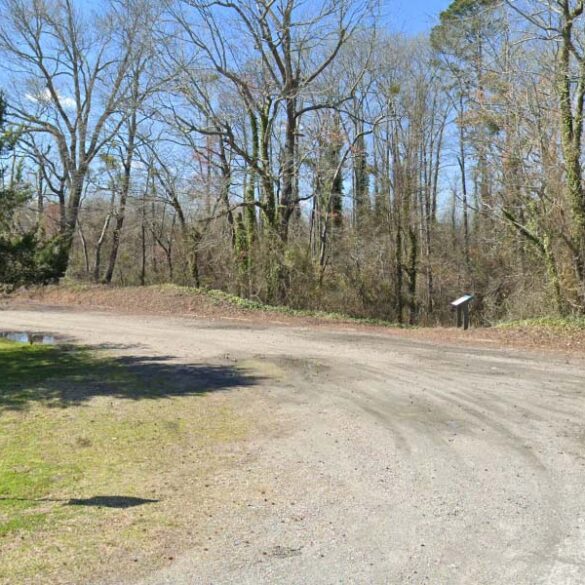 Police find body of man with gunshot wounds in virginia's dismal swamp trail - photo licensed by shore news network.