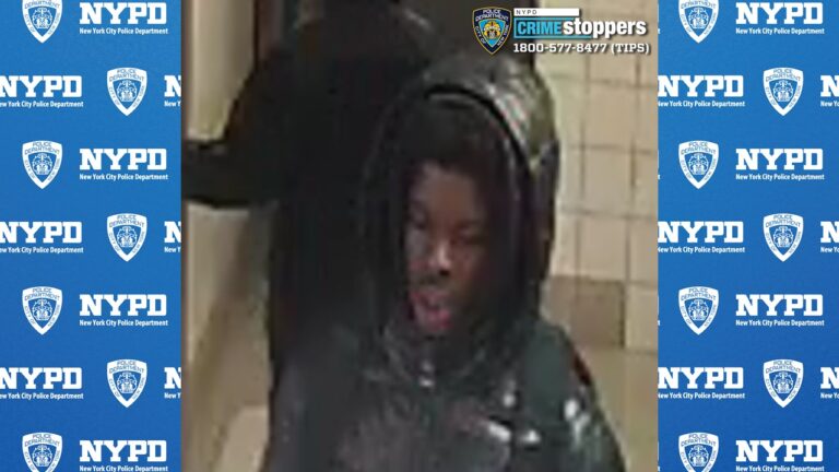 Teen boys robbed at gunpoint over designer jackets in the bronx - photo licensed by shore news network.