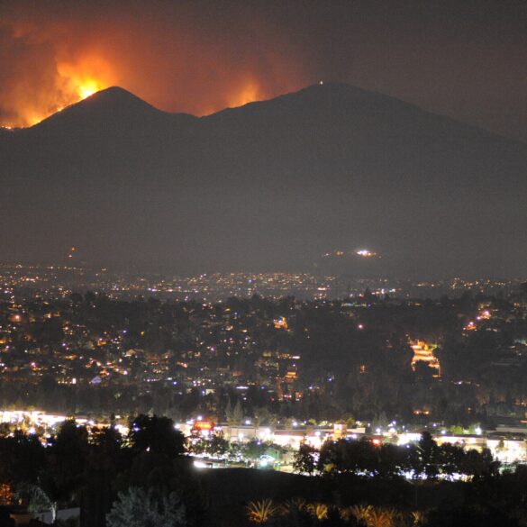Two years ago, president trump urged california to do better on forest management to prevent fires - photo licensed by shore news network.
