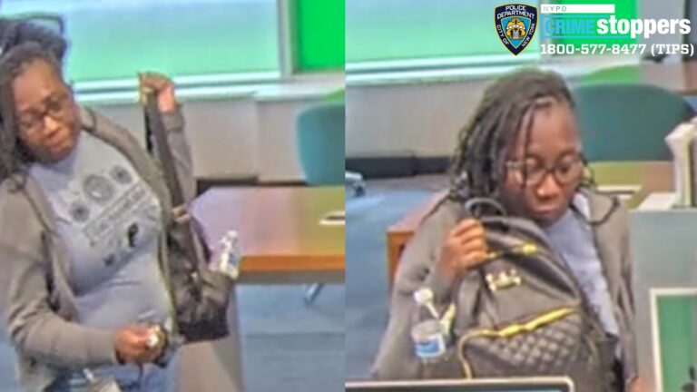 Police seek suspect in $1,500 robbery at harlem td bank - photo licensed by shore news network.