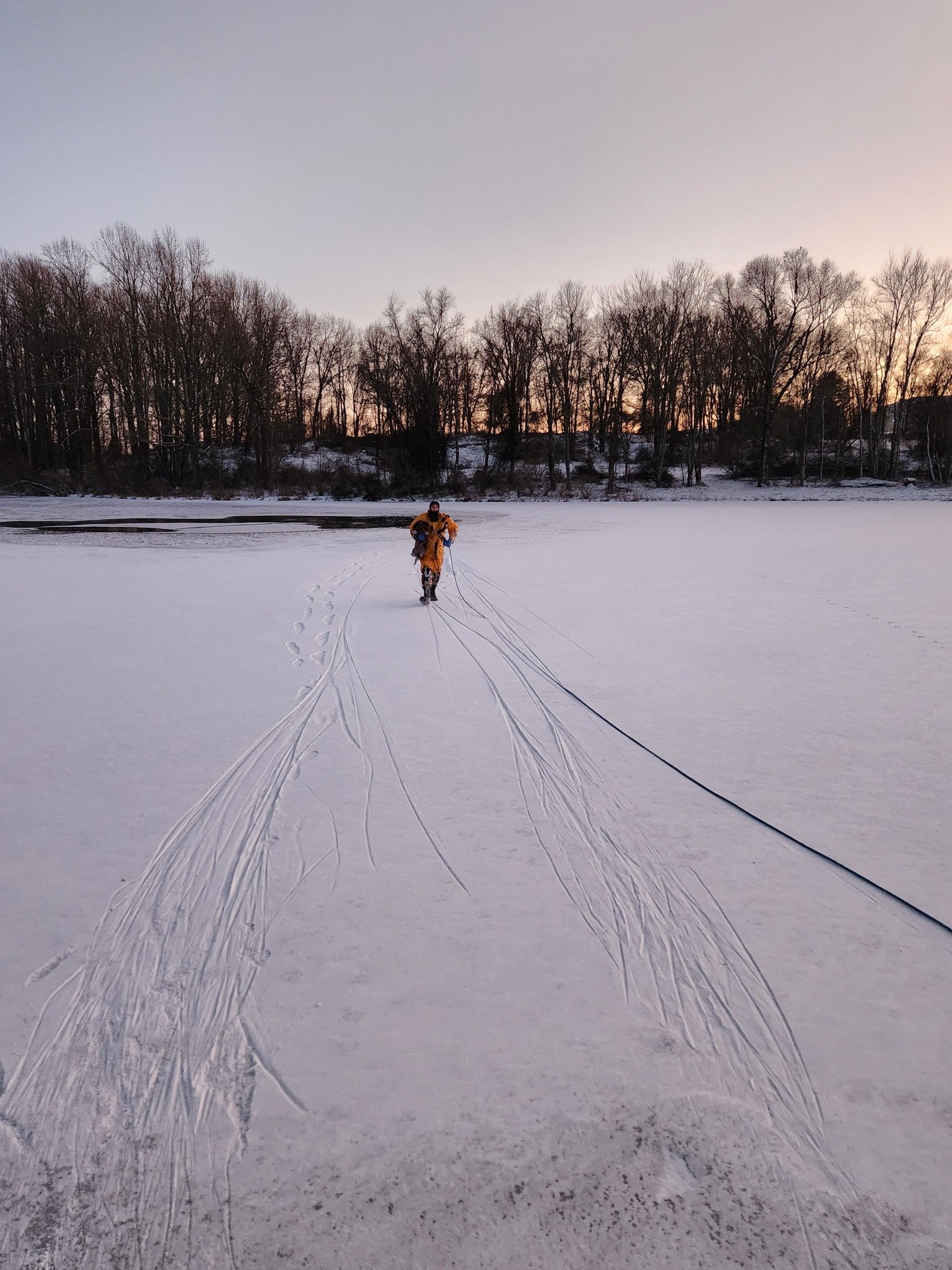 Ellicott City firefighters save dog from frozen pond in daring rescue