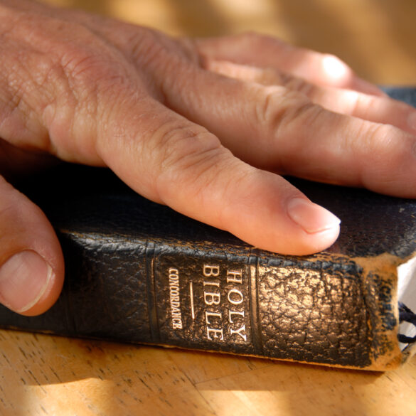 Doj backs religious business in new hampshire case over gender dysphoria insurance coverage - photo licensed by shore news network.