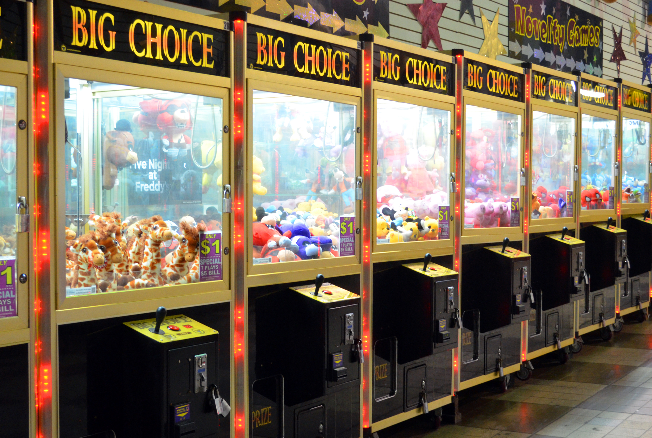 Are New Jersey Boardwalk Claw Machine Plushies Infected With Dust Mites? We Performed a Laboratory Test to Find Out