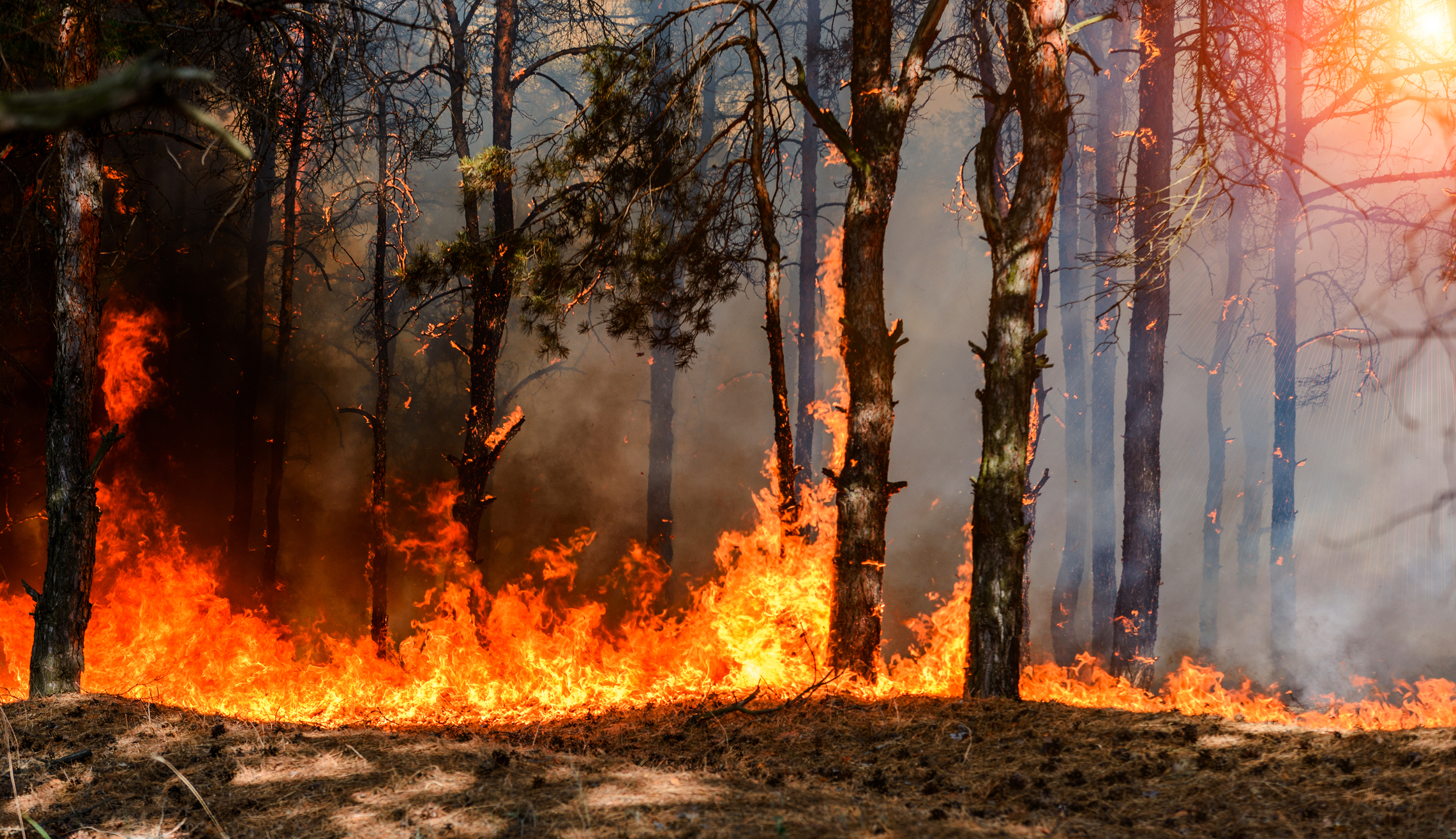 With California Under Fire Over Budget Cuts, Mismanagement, How is New Jersey's State Fire Budget?