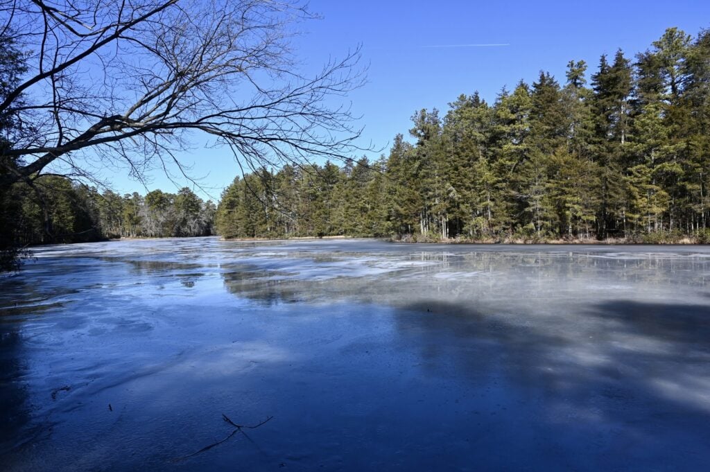 Frozen Pine Barrens Lake. A small lake in the New Jersey pine barrens, frozen over in winter.
