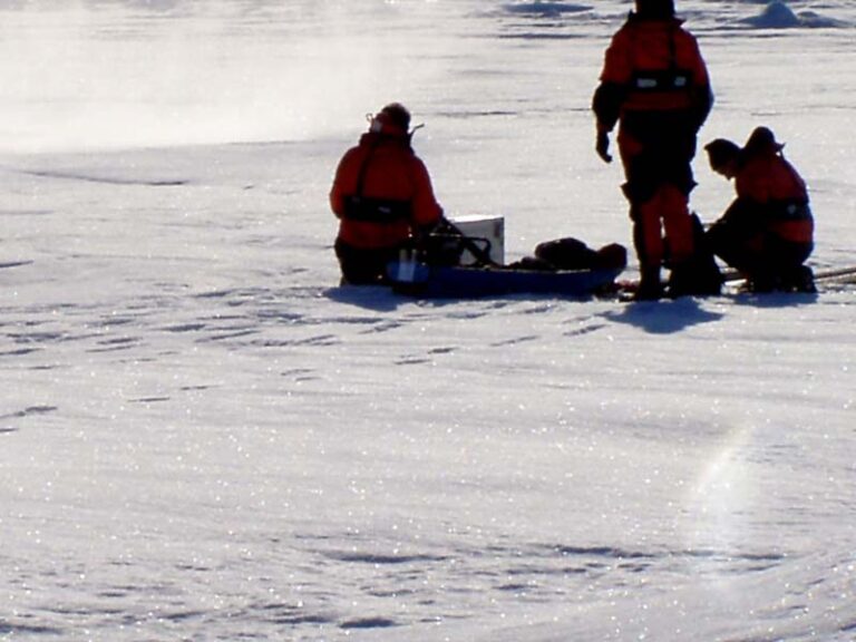 Large police presence at brick park, here's why - photo licensed by shore news network.