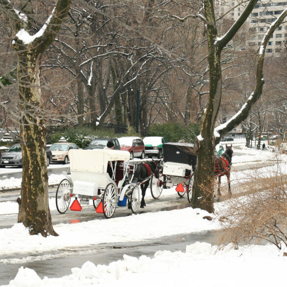New york city expecting snow today: here's how much - photo licensed by shore news network.