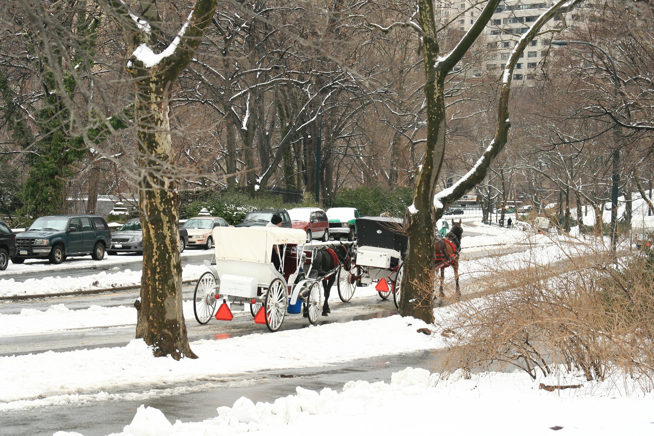 New York City Expecting Snow Today: Here's How Much