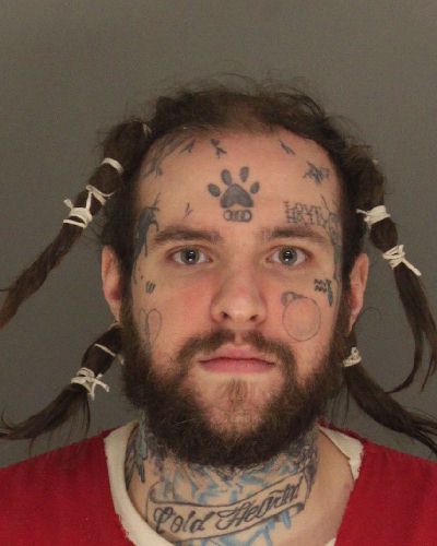 Fugitive wanted on probation violations captured in Stowe Township