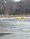 Firefighters rescue deer stranded on thin ice in maryland