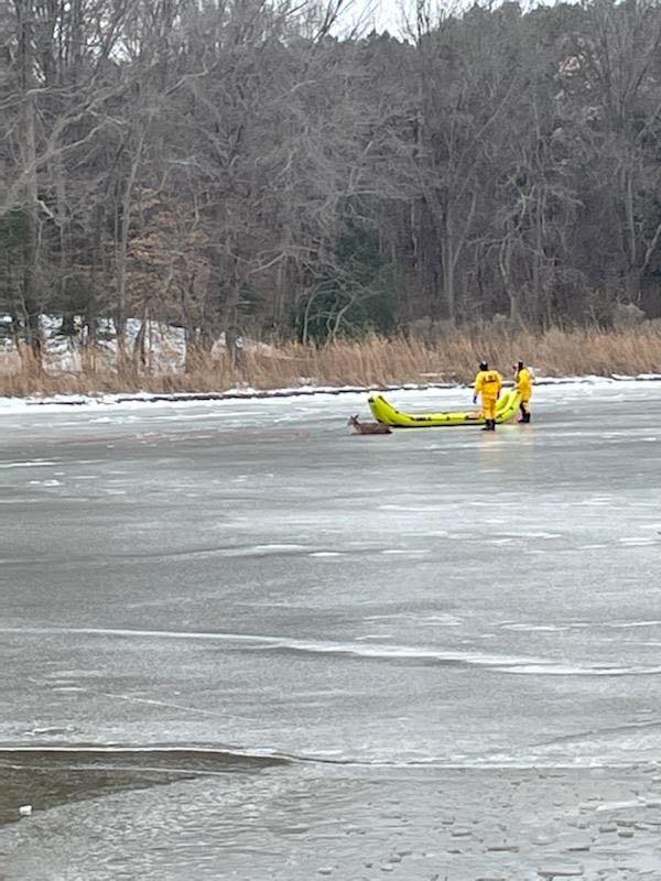 Firefighters rescue deer stranded on thin ice in Maryland