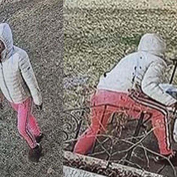 Newark police seek public’s help identifying package theft suspect - photo licensed by shore news network.