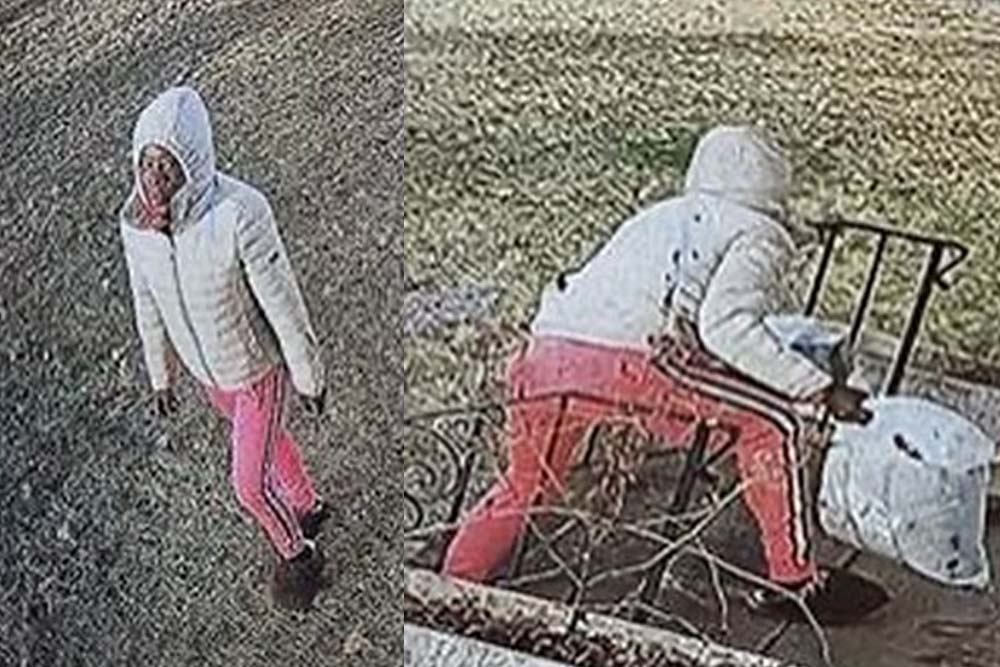 Newark police seek public’s help identifying package theft suspect