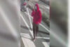 Police search for suspect in northeast philadelphia hit-and-run that left woman critically injured