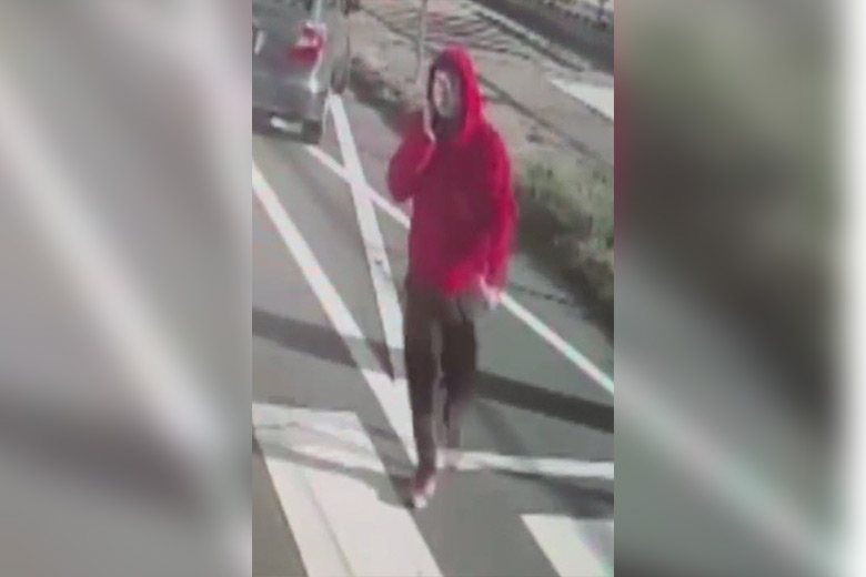 Police search for suspect in Northeast Philadelphia hit-and-run that left woman critically injured