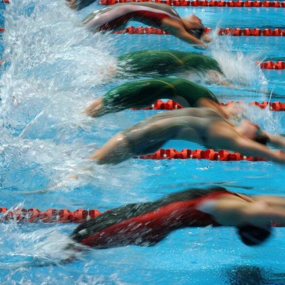 Former penn swimmers sue ncaa, ivy league, and harvard over alleged title ix violations - photo licensed by shore news network.