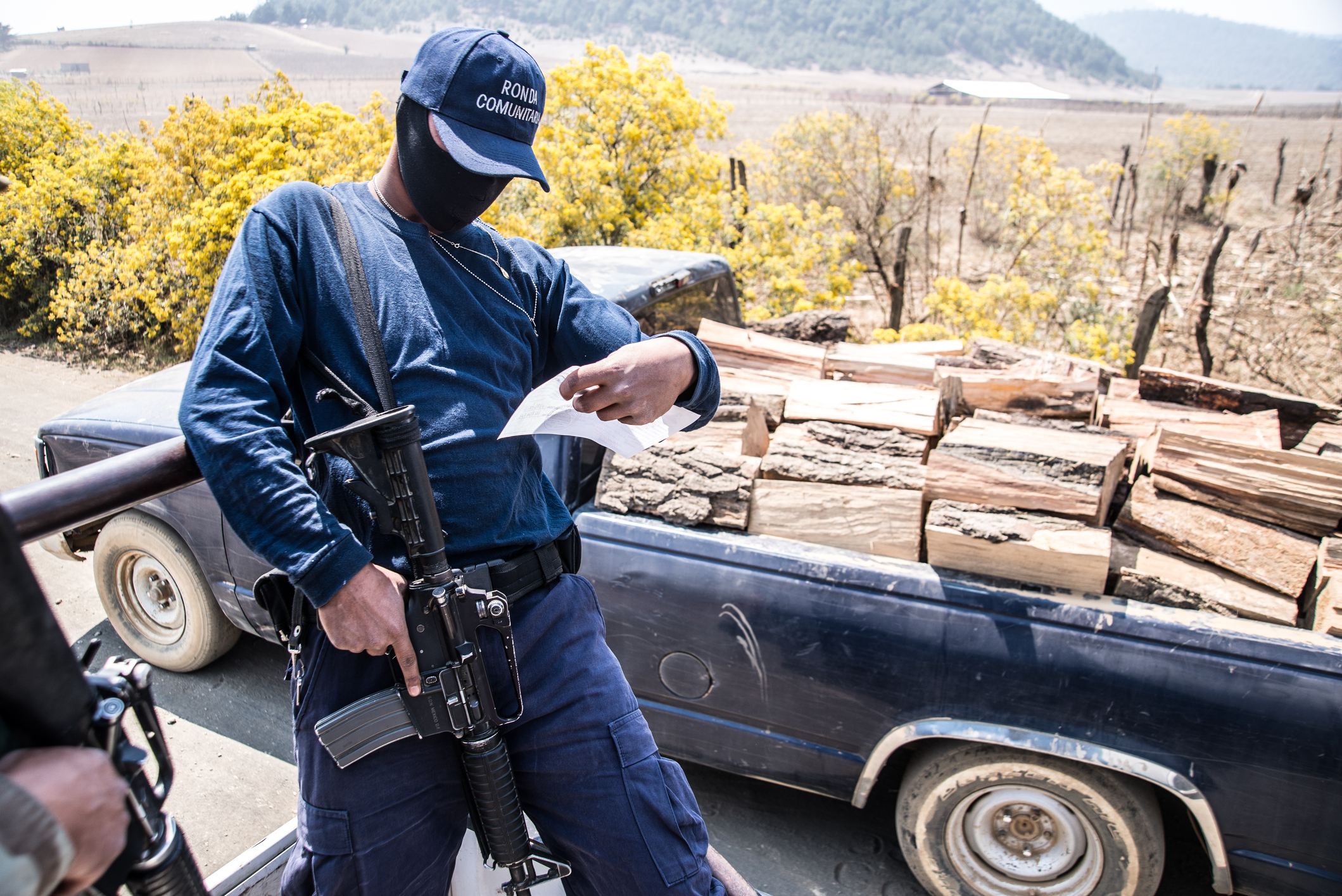 member of the volunteer security force che. A member of the volunteer self defense force checks a firewood collection permit. In the wake of an uprising to stop cartels from illegally logging their forest.