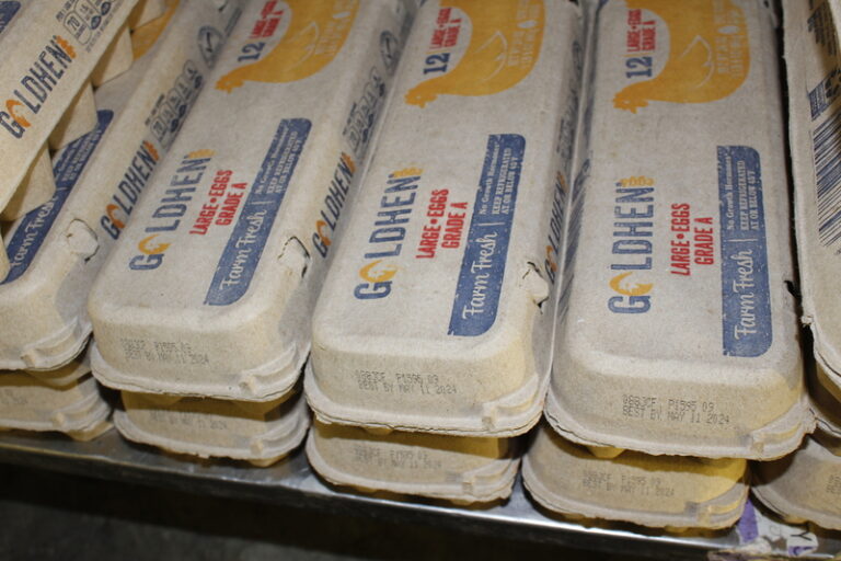 The left blames trump for egg prices, but here's what's really happening - photo licensed by shore news network.