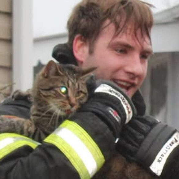 Fire damages toms river mobile home; all pets rescued - photo licensed by shore news network.