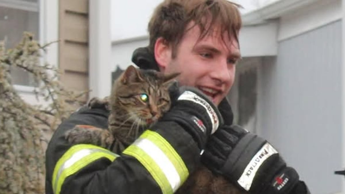 Fire damages Toms River mobile home; all pets rescued